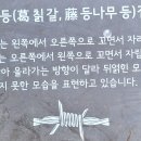 Re:갈등 葛藤 | Conflict/ / 여야갈등 & 황창연신부, 미움 껴안기 이미지