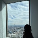 단디텍스 | 도쿄 혼자 여행 가볼만한곳 이케부쿠로 선샤인60 일본 현지인 후지산 전망대