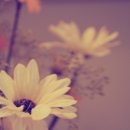 작은바다 - 익산시 부송1로1길 26 | 작은바다