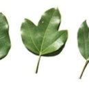 미성도료 이미지