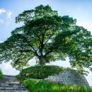 성흥로97번길 이미지