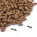 더본커머스 이미지