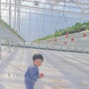 수환농장 이미지