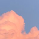 꿍야