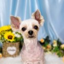 도꾸살롱 이미지