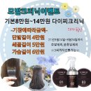 봄, 여름 살롱 이미지