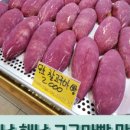 커피베이해남땅끝점