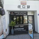 샌디담 이미지