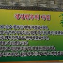 둘리호프광장 | 송내역 고기집 '경성집'에서 돼지갈비 먹은 후기~