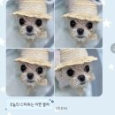 마이리틀멍 이미지