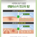 코스모스카 이미지