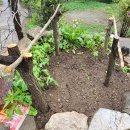 지에스(GS)25모종중앙점 이미지