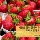 잠언농장 이미지