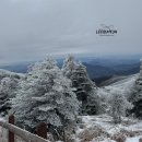 영덕상회 이미지