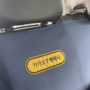 펫택시 이용후기_카카오/펫온