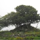 명현농장 이미지