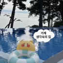 생각속의집(본점) | 거제 생각속의집 펜션 숙박 후기 인스타 감성숙소 추천