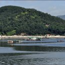 죽림 내죽도공원 이미지