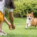 (주)비트러스트메디텍 이미지