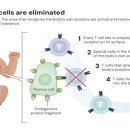 (주)네이쳐사이언스 이미지