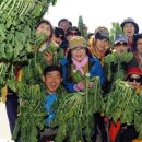 해안면힐링하우스 이미지