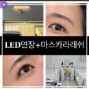 뮤엔온 | 병점속눈썹연장_LED연장 처음하고온 후기_뮤엔온