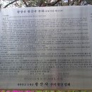 진달래 핀 풍경 이미지