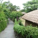 서귀동 300-1 이미지