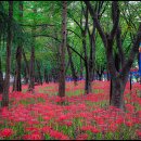 활천공원 이미지