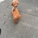 히힛