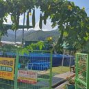 대창농원 이미지