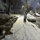 하프 바버샵