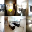 까치 뽑기방 이미지