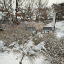 레트로카페 이미지