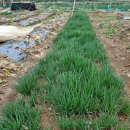 더27월풀펜션 이미지