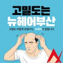 뉴헤어시티