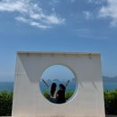 거제도 2박3일 여행일정 후기(2,3) 한꼬막두꼬막 카페썬트리팜 수국길 외도해금강유람선 바람의언덕카페
