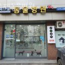 레스펫동물병원 | 서초구 양재동 동물병원 레스펫동물병원 진료시간 접근성 이용후기