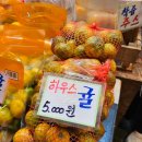 귤림청과