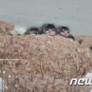 새천년종묘농약사 이미지