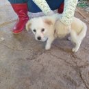 사산경로당 이미지