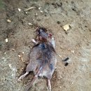 산전농장 이미지