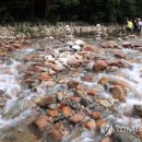 백담출장