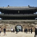 주식회사하나관광여행사 네이버블로그
