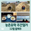 보성 농촌유학 주간일기 12월 둘째주 / 흙산 두꺼비집 굴 파기 / 해남, 장흥, 보성