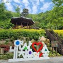 치유의 숲 이미지