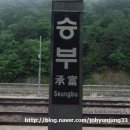 바이트레인