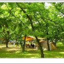 무지개 서는 마을 이미지