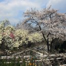 삼풍가든 이미지