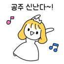 황룡stay 이미지